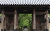 大本山 光長寺