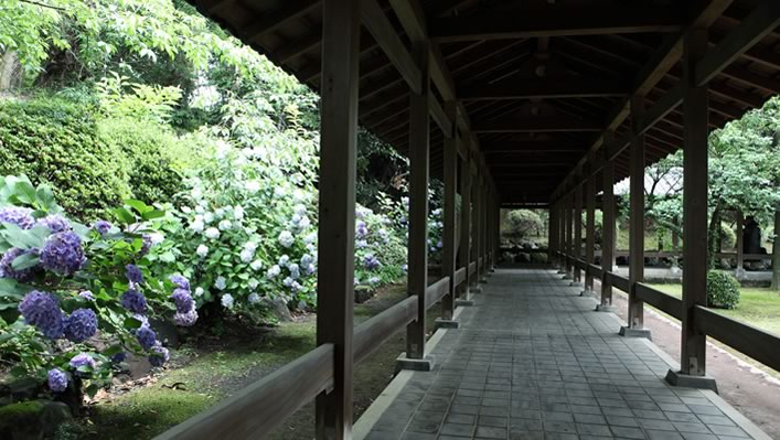 大本山 光長寺